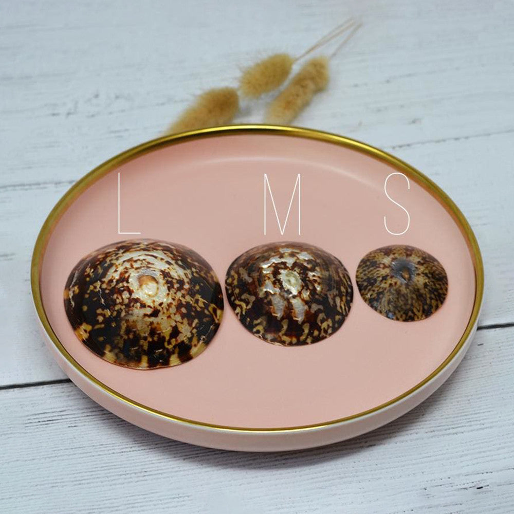 passage-du-d-sir-accessoires-coquillages-allaitement-taille-m image 3