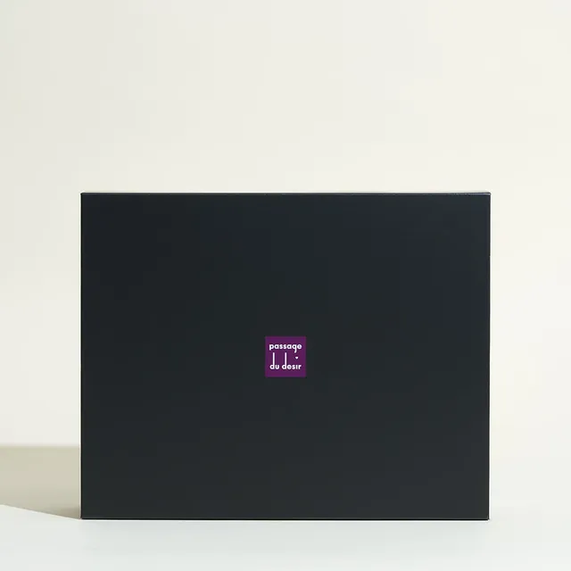 passage-du-d-sir-bo-te-cadeau-rangement-sextoy-grande-noire-violet image 1