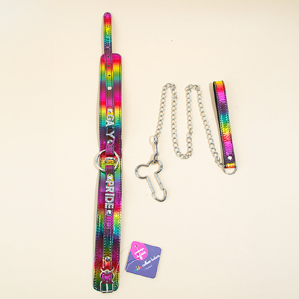 passage-du-d-sir-collier-et-laisse-pride-collier-bondage image 3