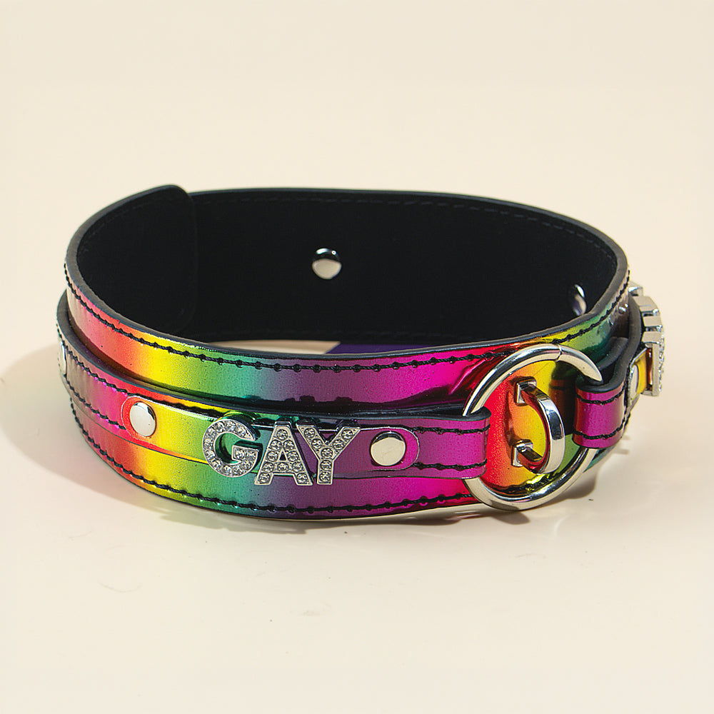 passage-du-d-sir-collier-et-laisse-pride-collier-bondage image 5