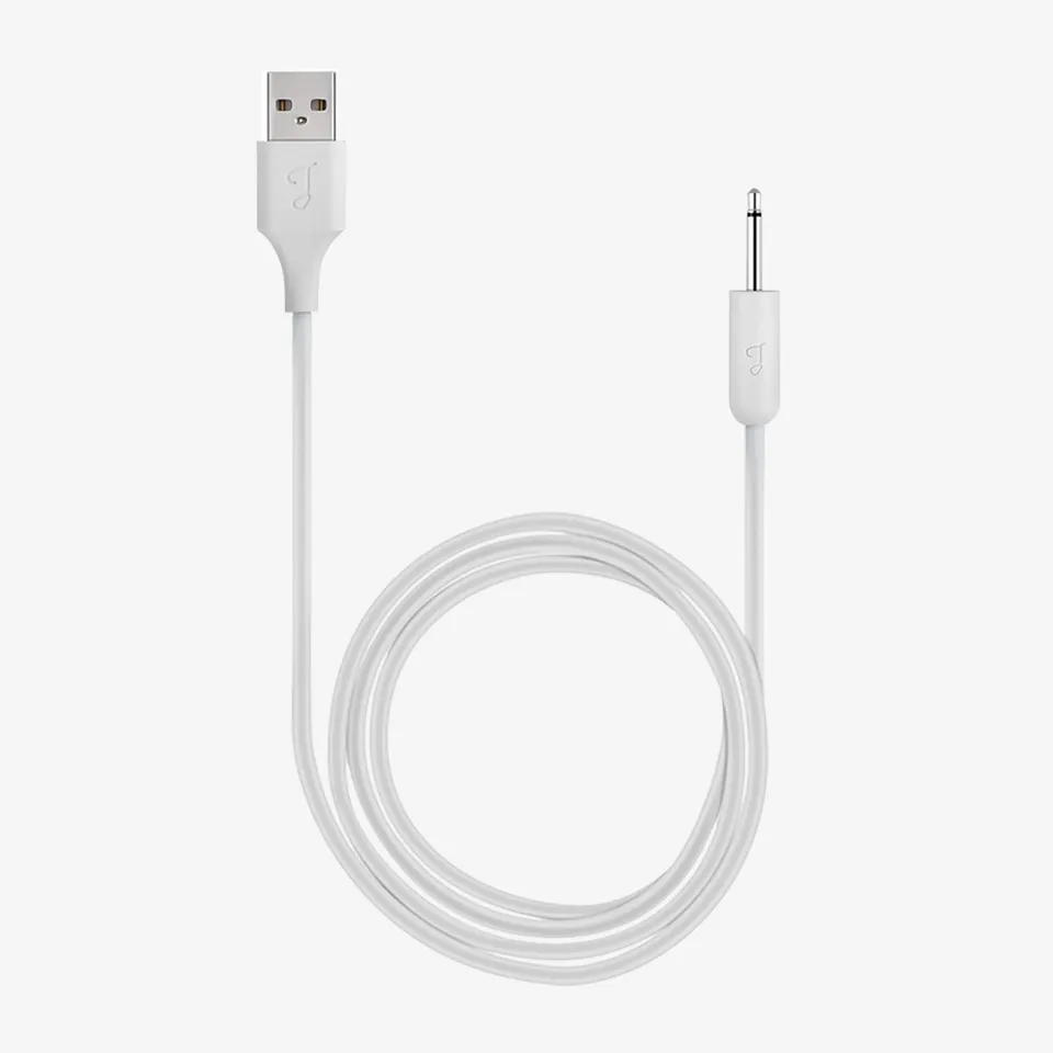 tracy-s-dog-c-ble-chargeur-usb-dc-2-5-mm-vibromasseur image 1