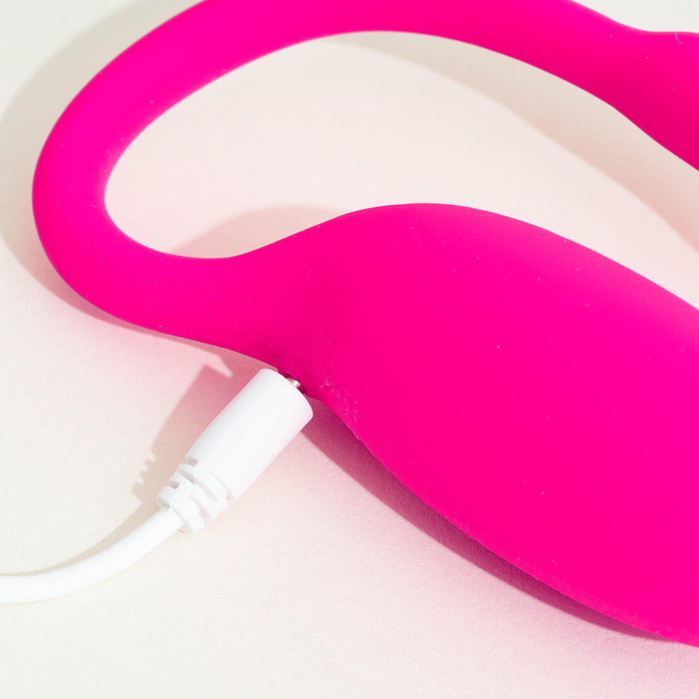 passage-du-d-sir-flamingo-oeuf-vibrant-connect-bluetooth-3 image 6