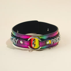 passage-du-d-sir-pride-collier-et-laisse-bdsm-r-glable image 4