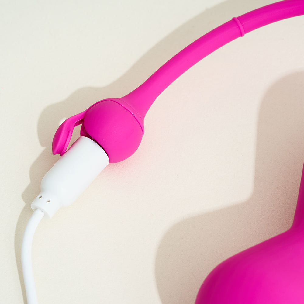magic-motion-magic-kegel-master-oeuf-vibrant-connect-p-rin-e image 2
