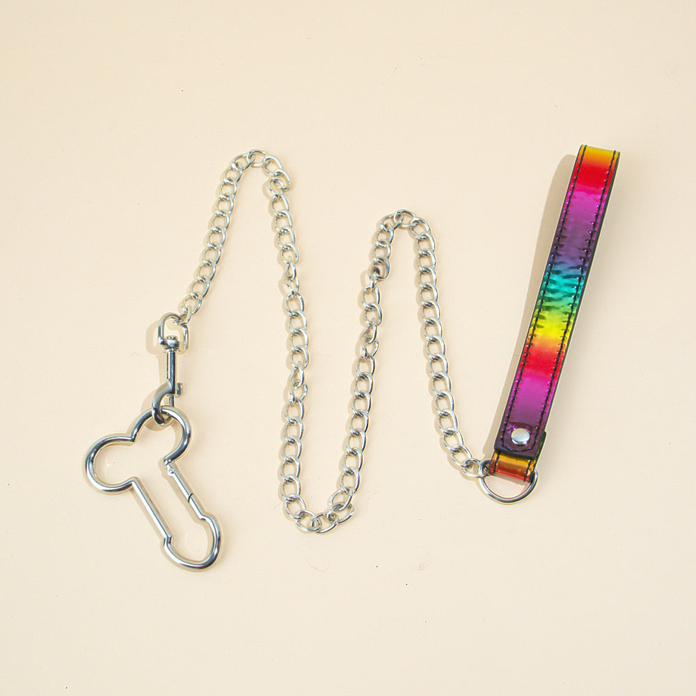 passage-du-d-sir-collier-et-laisse-pride-collier-bondage image 7