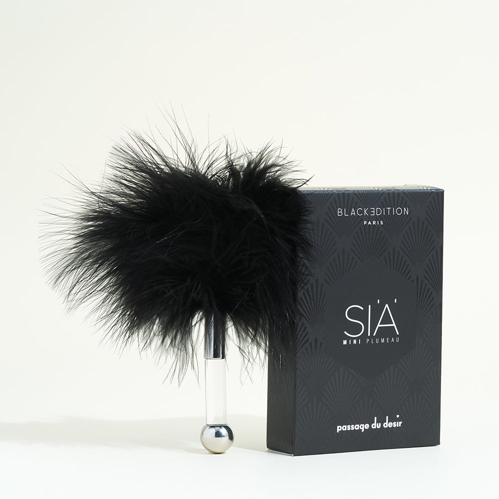passage-du-d-sir-si-mini-plumeau-sensuel-noir-black image 1