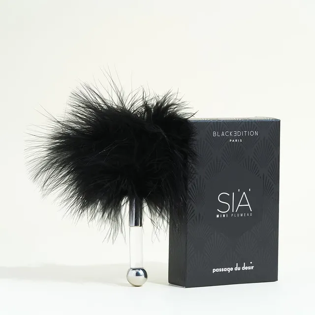 passage-du-d-sir-si-mini-plumeau-sensuel-noir-black image 1