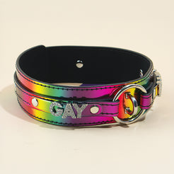 passage-du-d-sir-pride-collier-et-laisse-bdsm-r-glable image 5