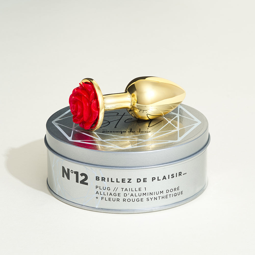 passage-du-d-sir-rose-steel-plug-anal-m-tal-taille-s image 1