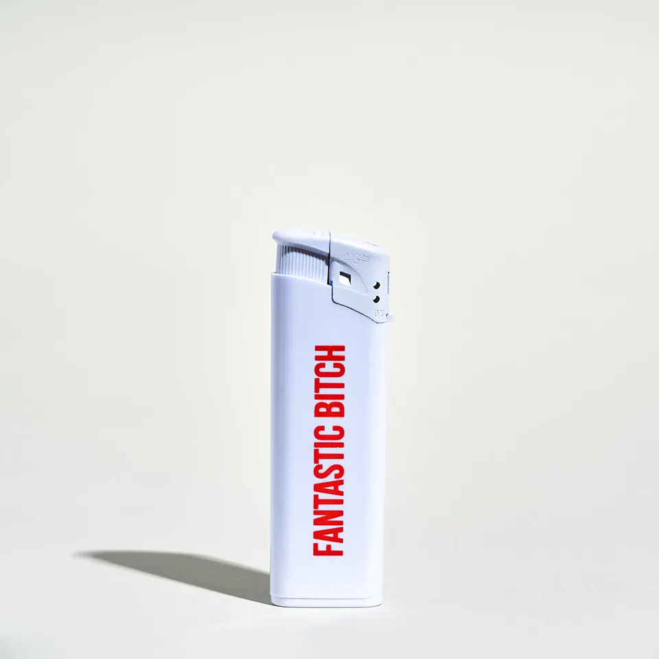 passage-du-d-sir-fantastic-bitch-briquet-fun image 1