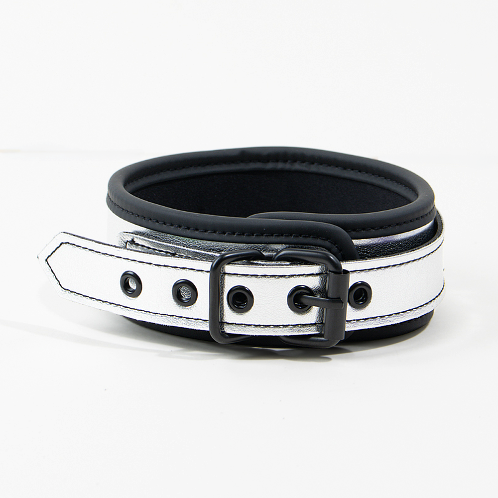passage-du-d-sir-balade-moi-collier-laisse-bdsm-argent image 3