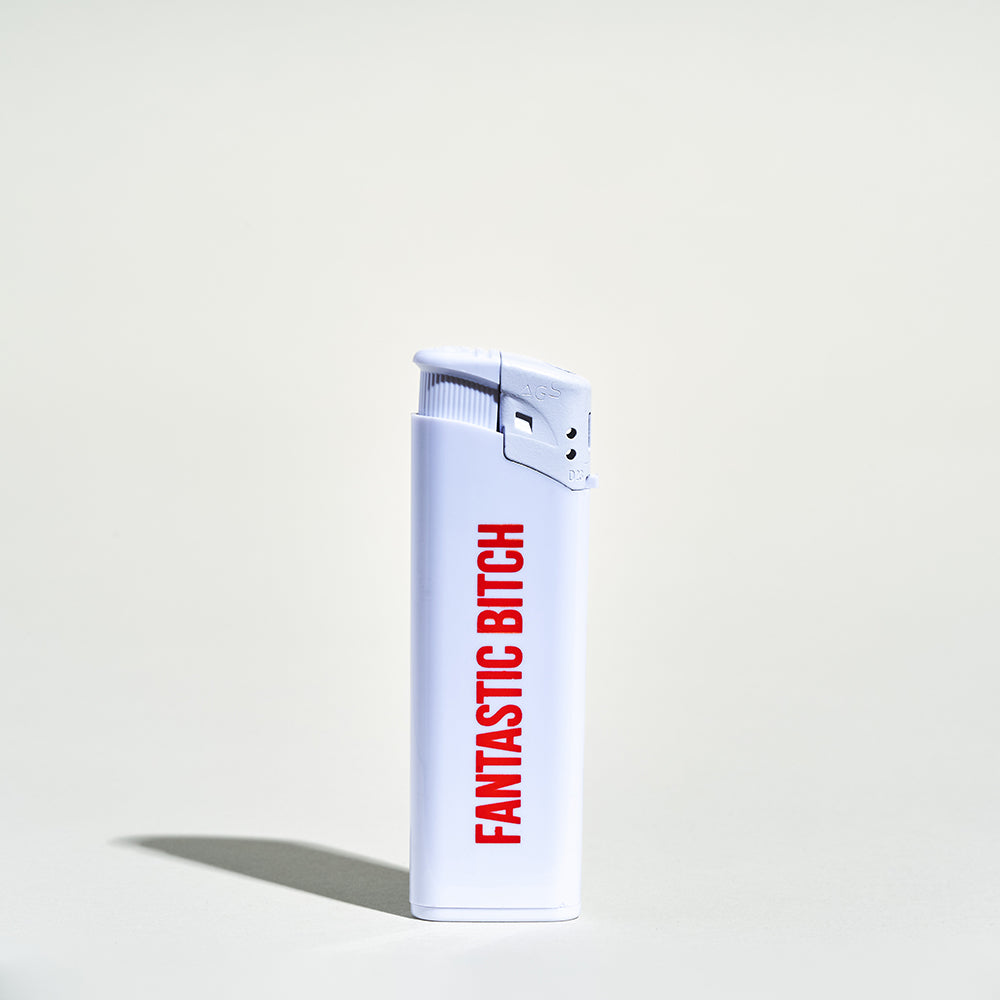 passage-du-d-sir-fantastic-bitch-briquet-fun image 1