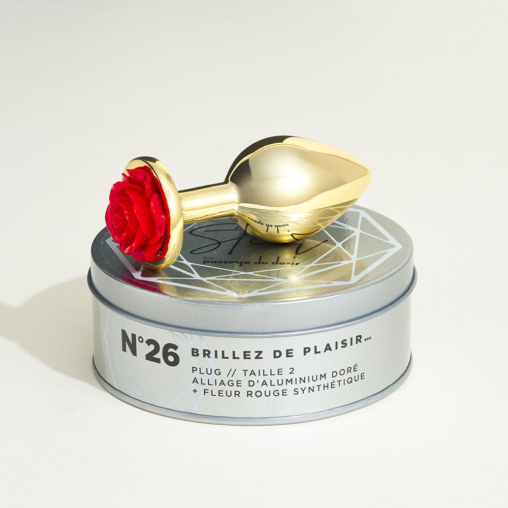passage-du-d-sir-rose-steel-plug-anal-m-tal-taille-s image 6
