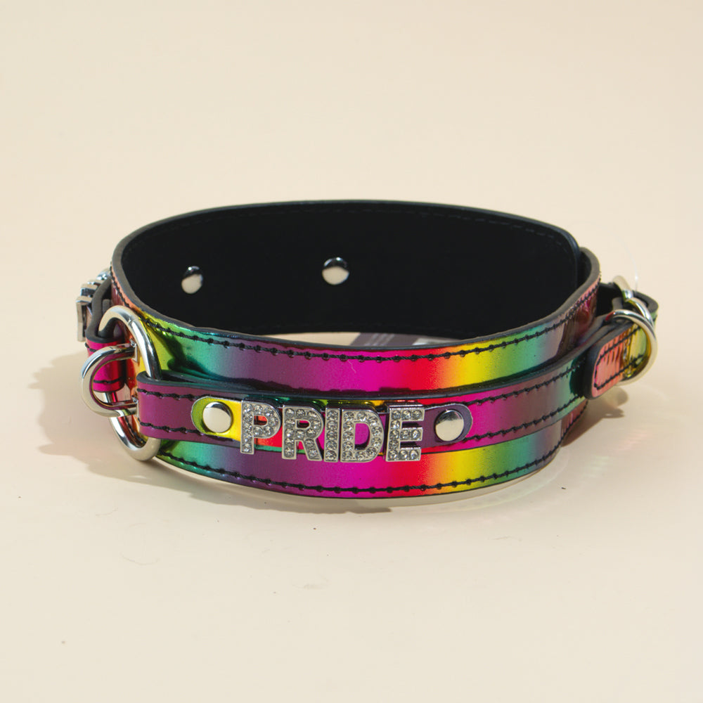 passage-du-d-sir-collier-et-laisse-pride-collier-bondage image 6